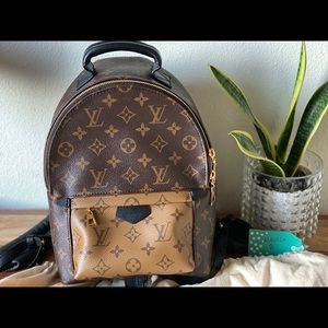SOLD Louis Vuitton Palm Springs PM Reverse Mono
